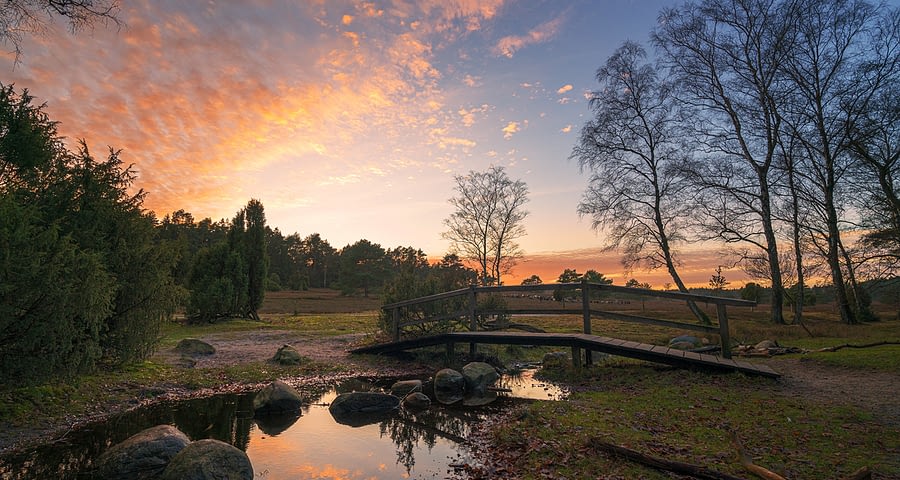 Büsenbachtal zum Sonnenuntergang