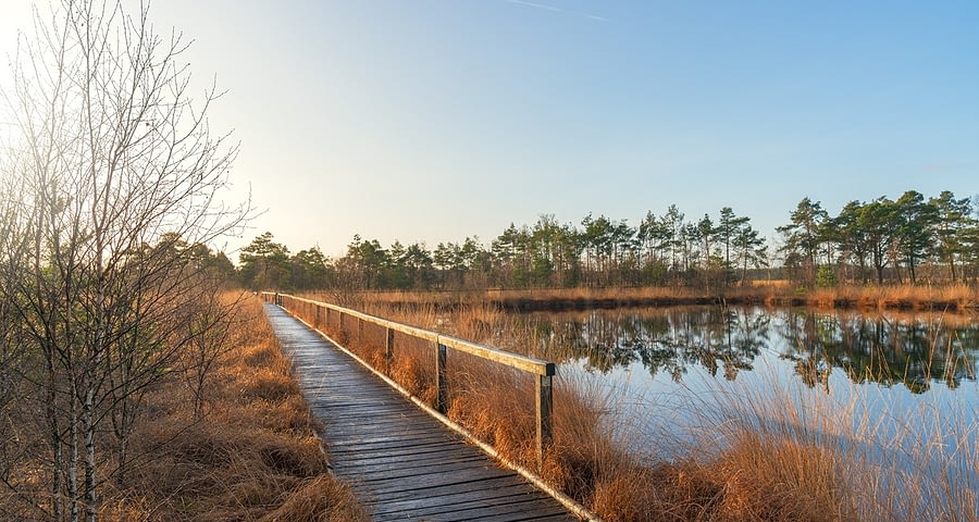 Pietzmoor